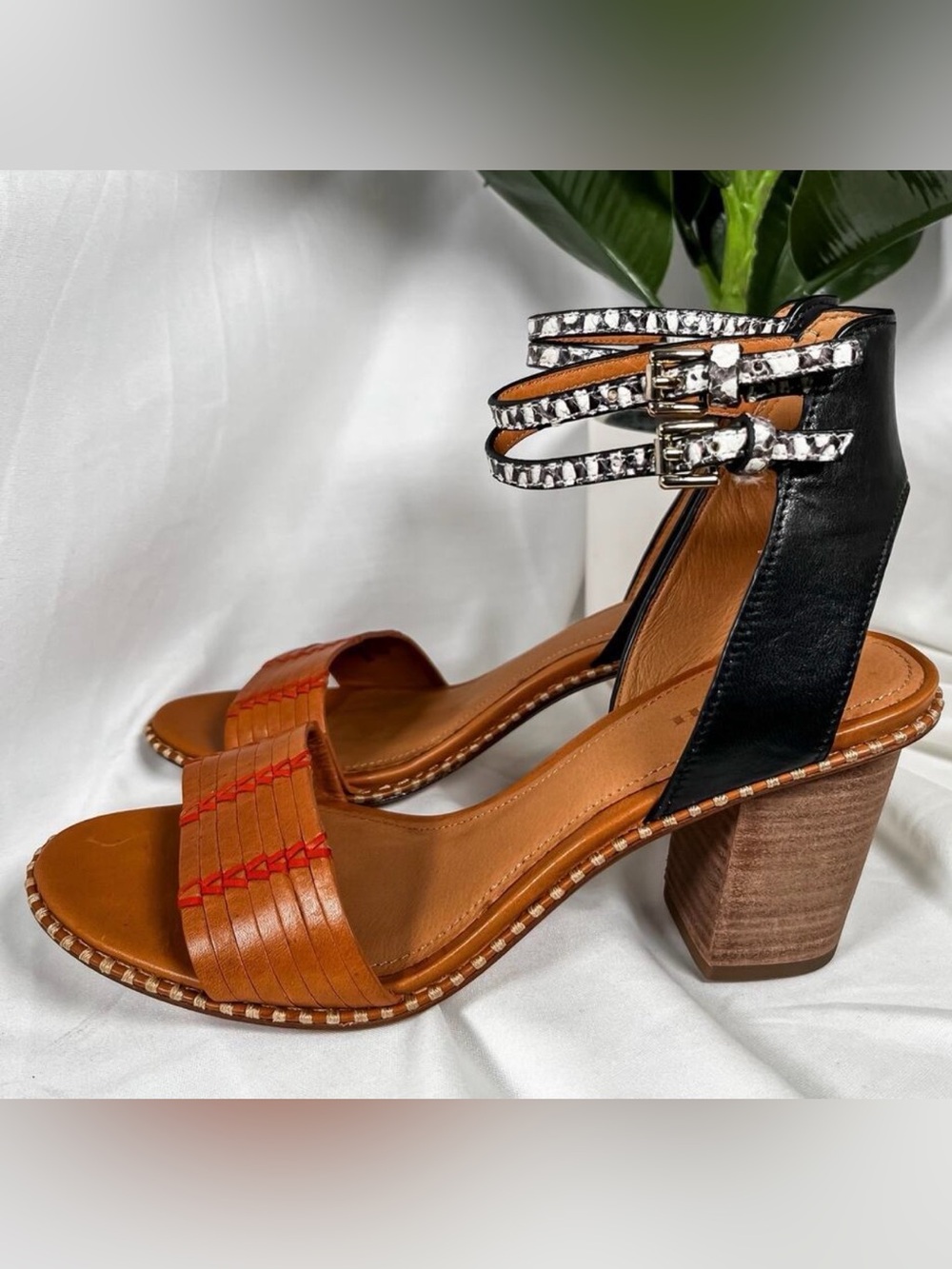 Pre-owned COACH Indie Boho Paige Snakeskin Colorblock Chunky Heel Salndal US 6.5